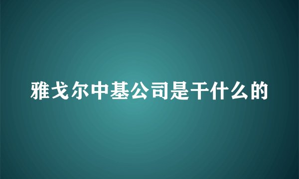 雅戈尔中基公司是干什么的