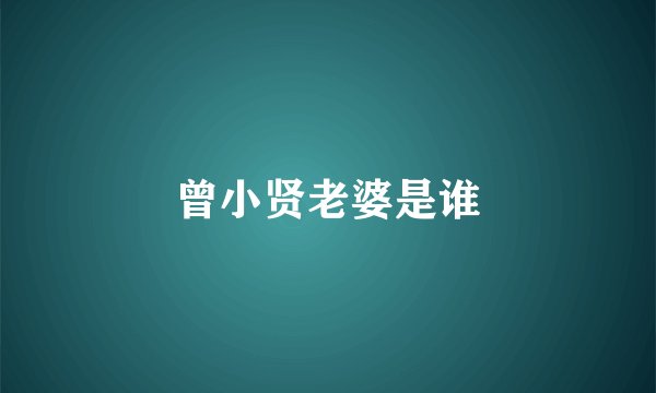 曾小贤老婆是谁