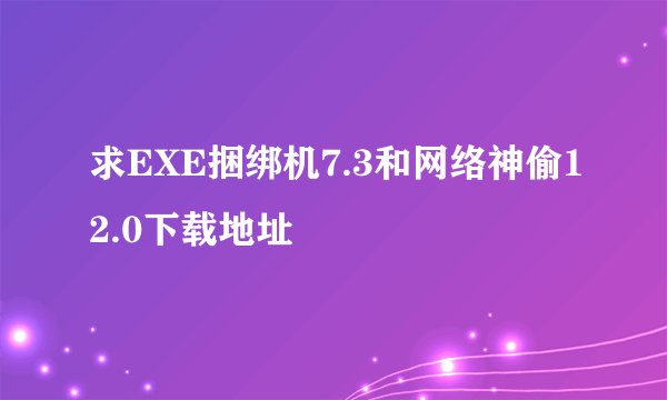求EXE捆绑机7.3和网络神偷12.0下载地址