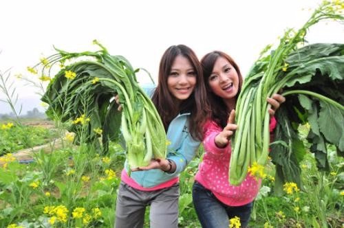 什么是速效氮源、迟效氮源？