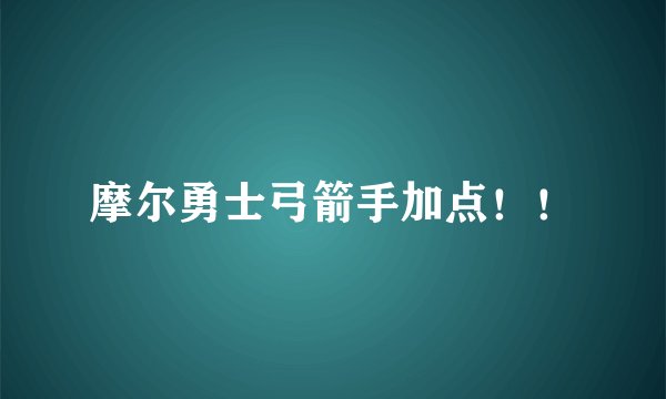 摩尔勇士弓箭手加点！！