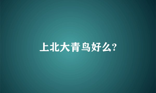 上北大青鸟好么?