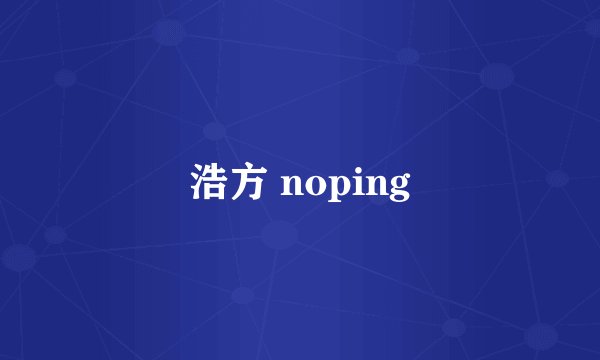 浩方 noping