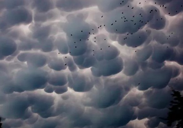 乳状云是凶兆吗