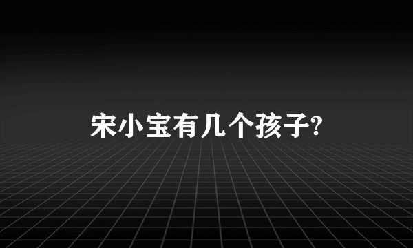 宋小宝有几个孩子?