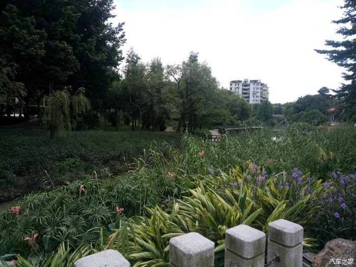 逸路有你,逸动陪我游览老城区的庄头公园