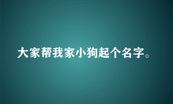 大家帮我家小狗起个名字。