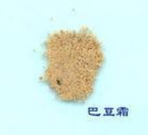 谁有中草药名称和图片大全