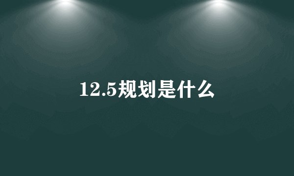 12.5规划是什么