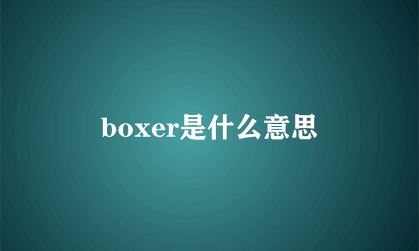 boxer是什么意思