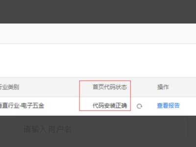 怎么查网站流量