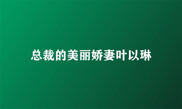 总裁的美丽娇妻叶以琳