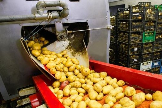 在家办厂小型加工项目有哪些?