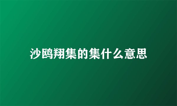 沙鸥翔集的集什么意思