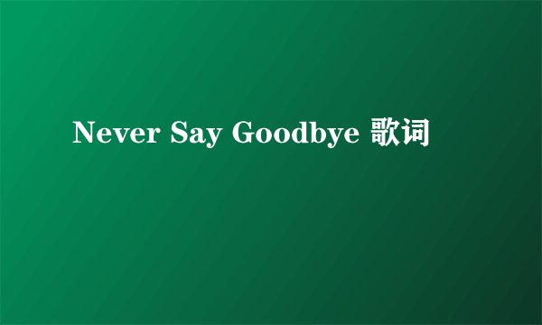 Never Say Goodbye 歌词