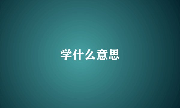 学什么意思