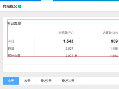 怎么查网站流量