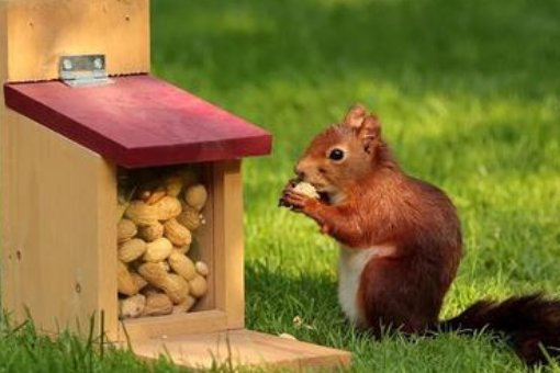 补仓是什么意思？