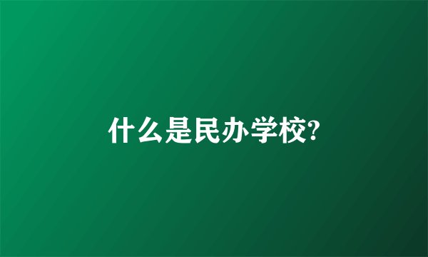 什么是民办学校?