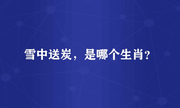 雪中送炭，是哪个生肖？