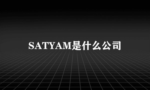 SATYAM是什么公司