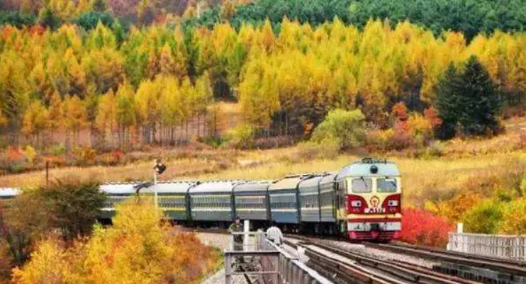 沈庆 青春 赏析