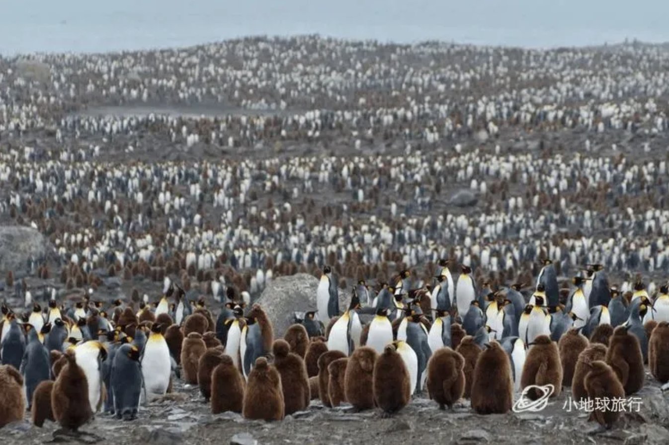 南极旅游有什么美丽风景