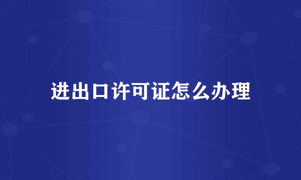 进出口许可证怎么办理