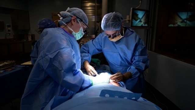 美国猪肾移植人体实验成功，这例手术标志着什么？