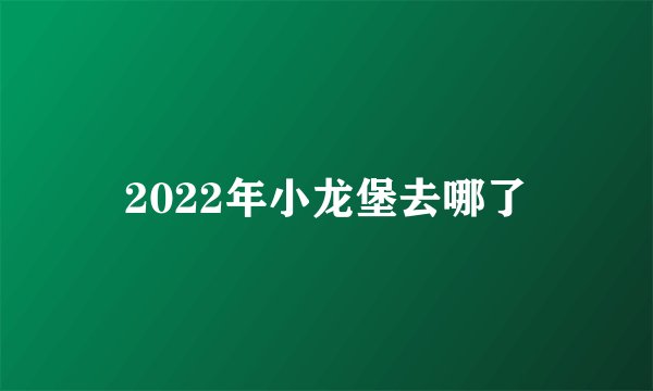 2022年小龙堡去哪了