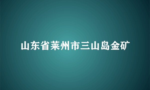 山东省莱州市三山岛金矿