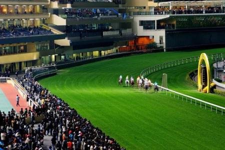 香港马会为什么不正常营业了?