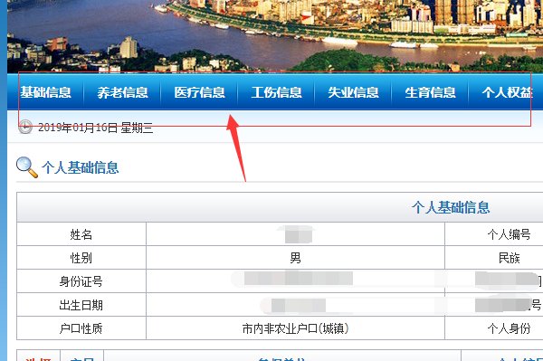 社保卡怎么查询个人账户明细查询
