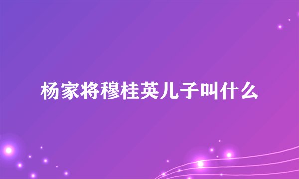杨家将穆桂英儿子叫什么