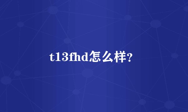 t13fhd怎么样？