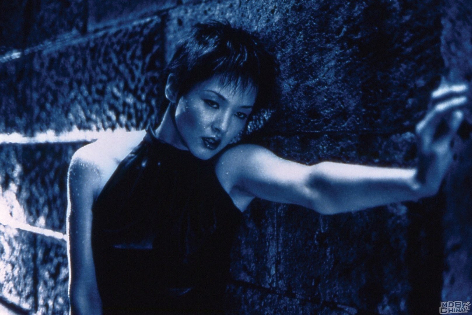 六月之蛇的介绍