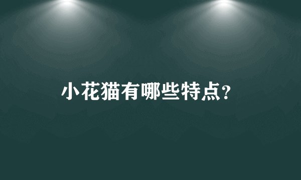 小花猫有哪些特点？