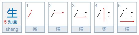 生笔顺怎么写