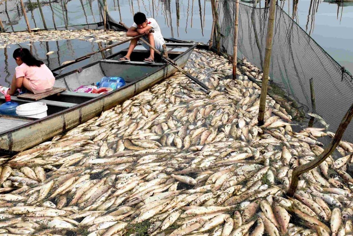 长江水污染我们应该怎么做