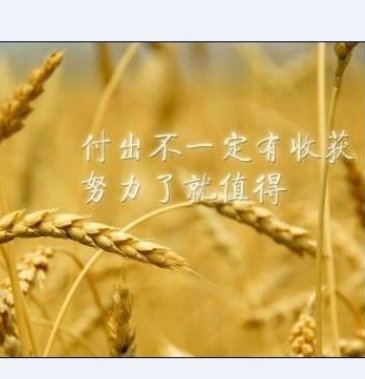 怎么编辑JPG图片？