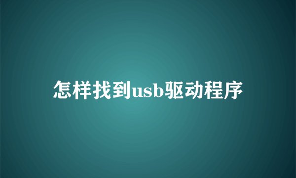 怎样找到usb驱动程序