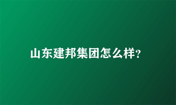 山东建邦集团怎么样？