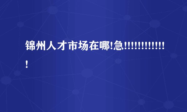 锦州人才市场在哪!急!!!!!!!!!!!!!