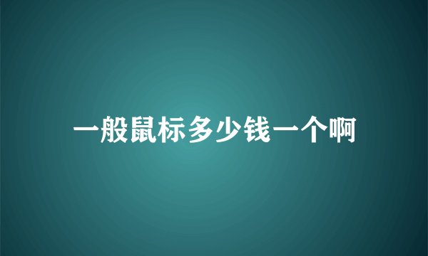 一般鼠标多少钱一个啊