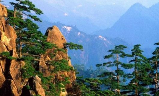 春季适合去哪里旅游