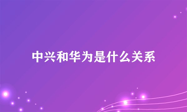 中兴和华为是什么关系