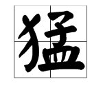 用“猛”组词有哪些词语？