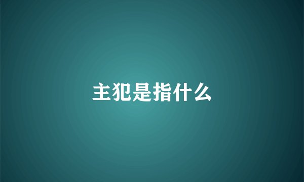 主犯是指什么
