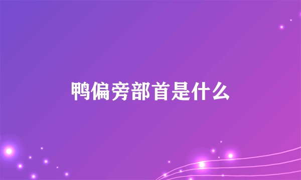 鸭偏旁部首是什么