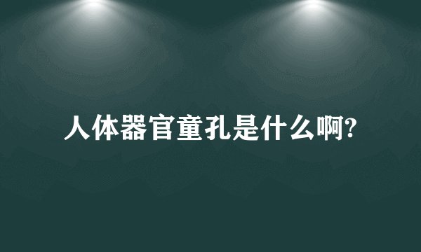 人体器官童孔是什么啊?